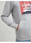 Logo Baskılı Kapüşonlu Erkek Sweatshirt