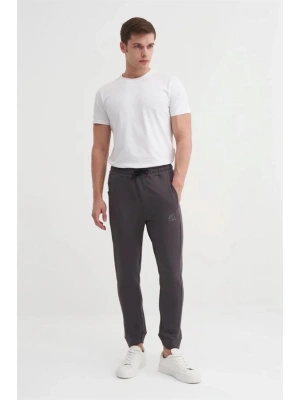 8017 2 İplik Slim Fit Erkek Eşofman Altı Gri