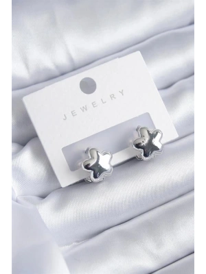 Gümüş Renk Yıldız Model Yıldız Model Pirinç Kadın Küpe