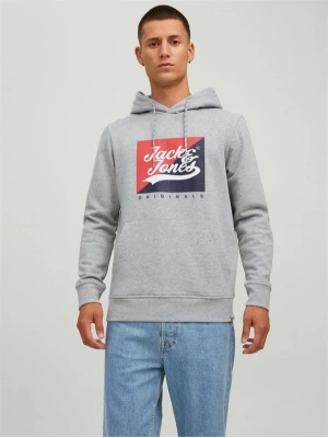 Logo Baskılı Kapüşonlu Erkek Sweatshirt