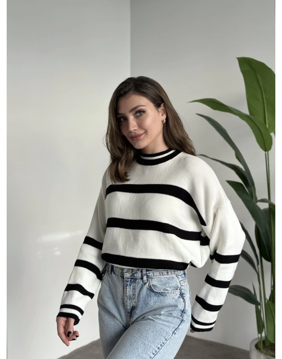 Çizgili bisiklet yaka kazak Siyah