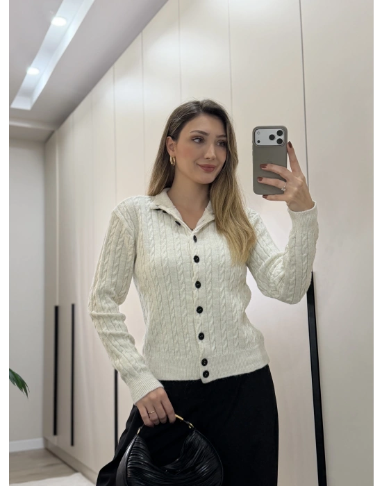 Örme balıkçı yaka düğmeli triko taş