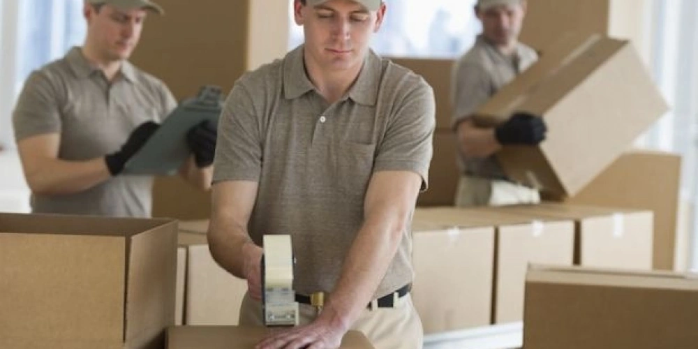 Ofis İçin Paketleme ve Arşiv Ürünleri