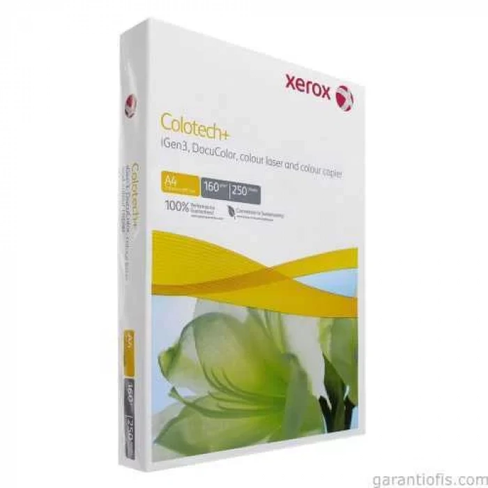 Çalınan Taç (Kısaltılmış Metin)