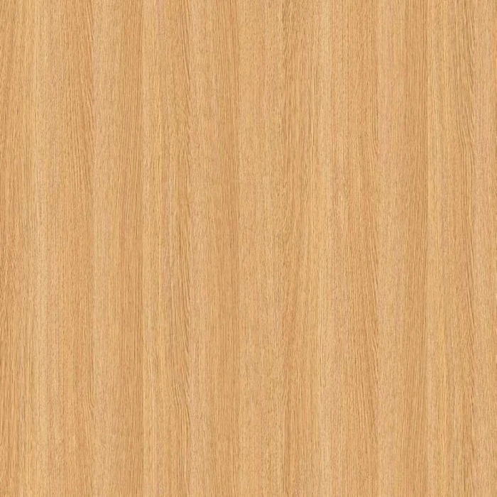 Hafıza Koleksiyoncusu