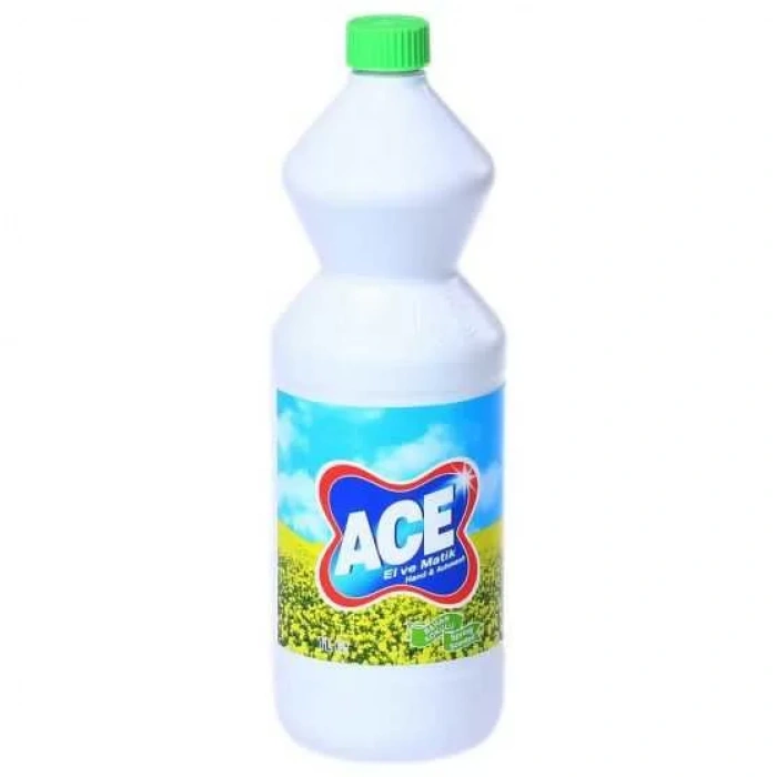 Beyin Bey’in Taşıtları