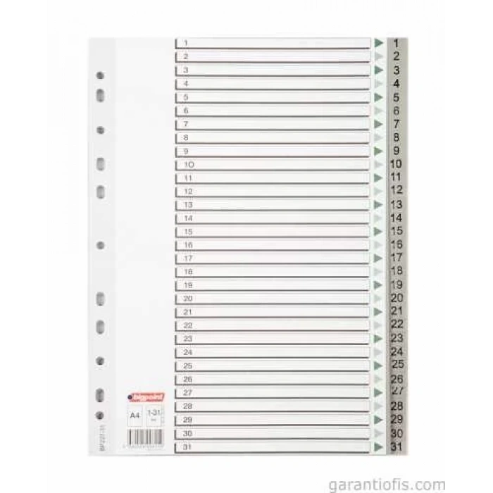 BigPoint 1-31 Rakamlı Seperatör