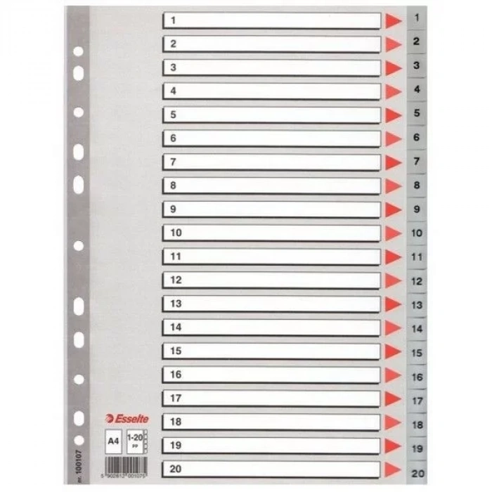 Esselte Seperatör 1-20 Rakamlı (Ayraç)