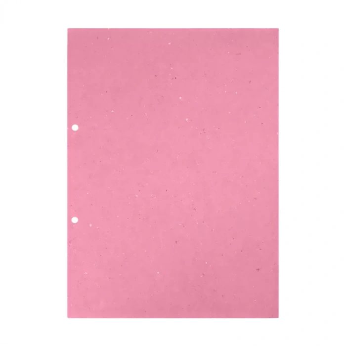 DİLMAN ARA KARTONU A4 100LÜ