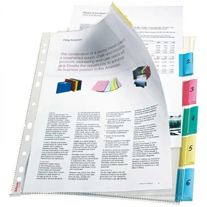 Esselte 414160 Ayraçlı Poşet Dosya (6 lı Poşet)
