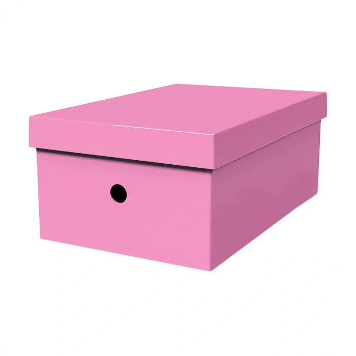 MAS 8226 RAİNBOW KARTON BÜYÜK BOY ARŞİV KUTUSU PEMBE