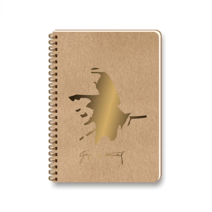 KESKİN FUNKY ATA SPİRALLİ DEFTER 17x23 DÜZ 100 YAPRAK (418110)