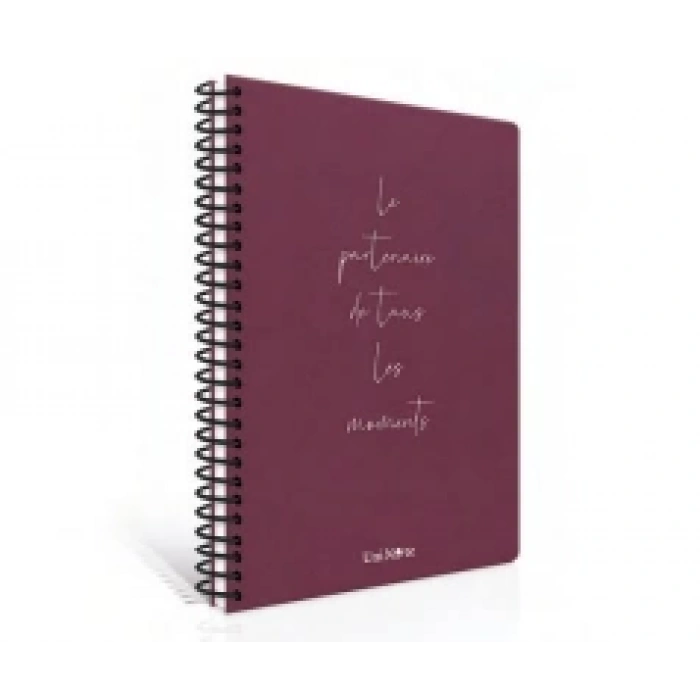 ÇINAR MOMENTS SPİRALLİ SERT KAPAK DEFTER 17x24 KARELİ 100 YAPRAK (55252)