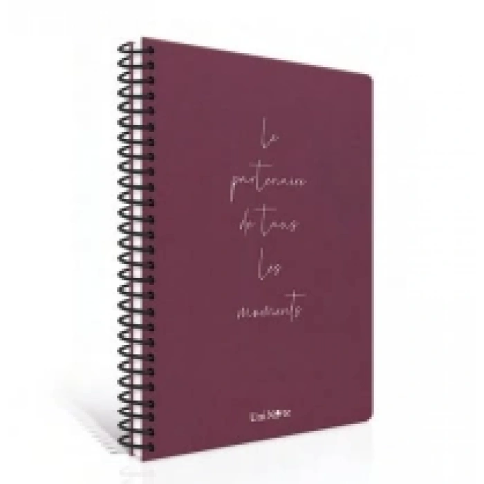 ÇINAR MOMENTS SPİRALLİ SERT KAPAK DEFTER 17x24 KARELİ 120 YAPRAK (55115)
