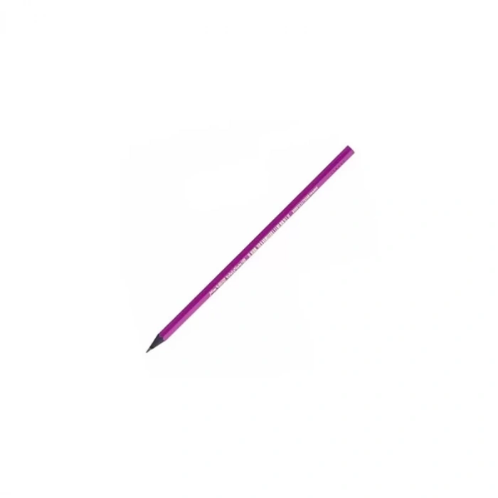 BİC EVOLUTİON KURŞUN KALEM PURPLE (901737)