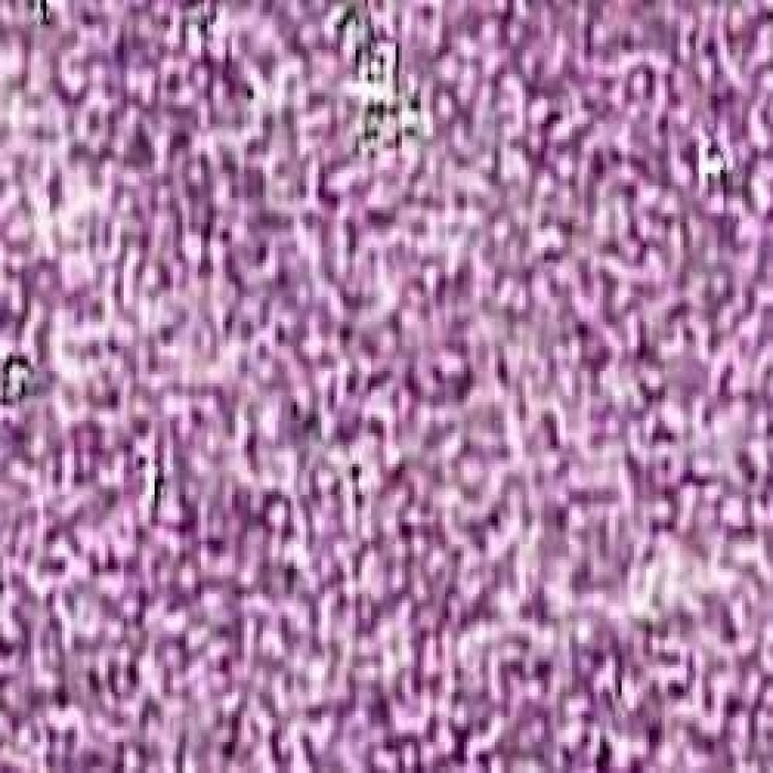 Artdeco Toz Sim (Glitter) 331 Açık Mor