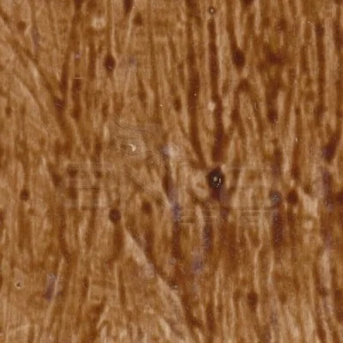 Cadence Antiquing (Eskitme) 120ml Koyu Kızıl Kahve 306