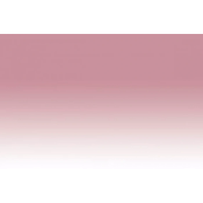 Chameleon Marker PK2 Dusty Rose