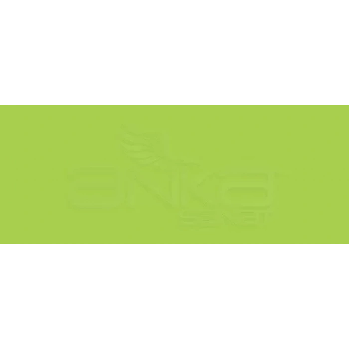 Copic Various Ink YG07 Acid Green