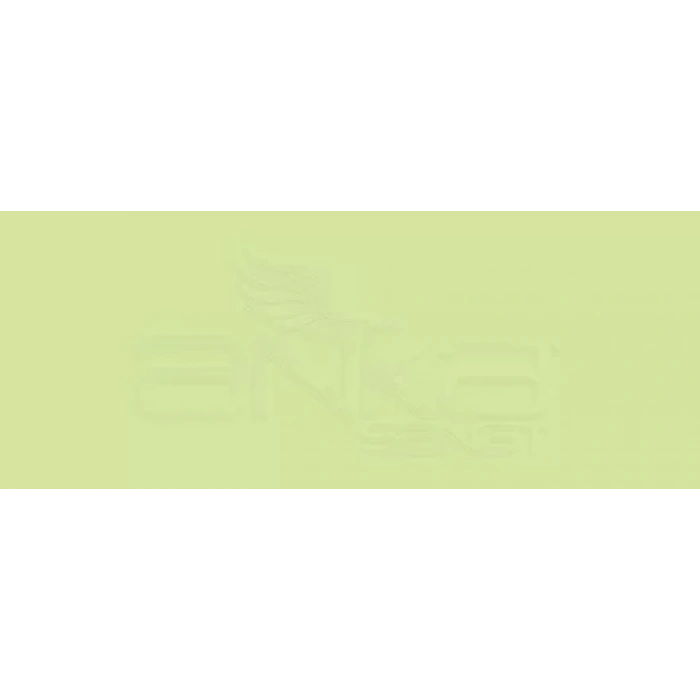 Copic Various Ink YG13 Chartreuse