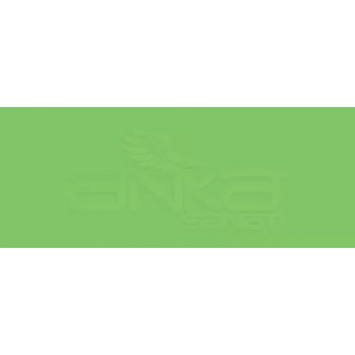 Copic Various Ink YG09 Lettuce Green