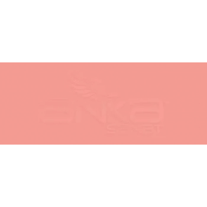 Copic Various Ink R14 Light Rouge