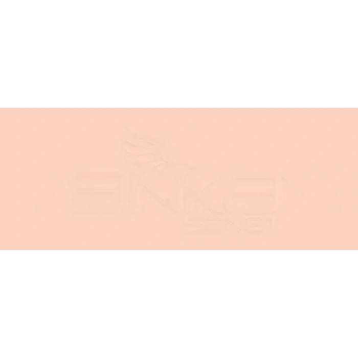 Copic Various Ink R12 Light Tea Rose