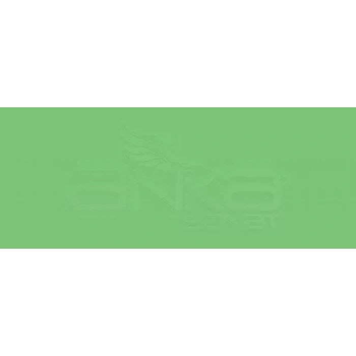 Copic Various Ink G07 Nile Green