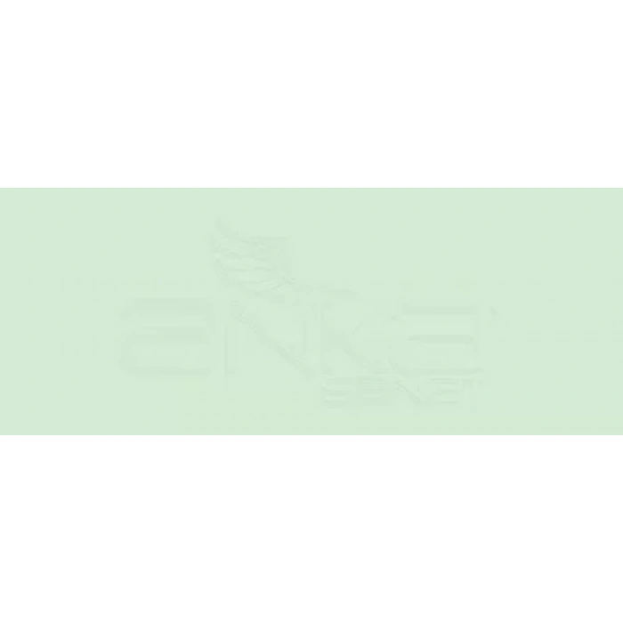 Copic Various Ink YG41 Pale Cobalt Green