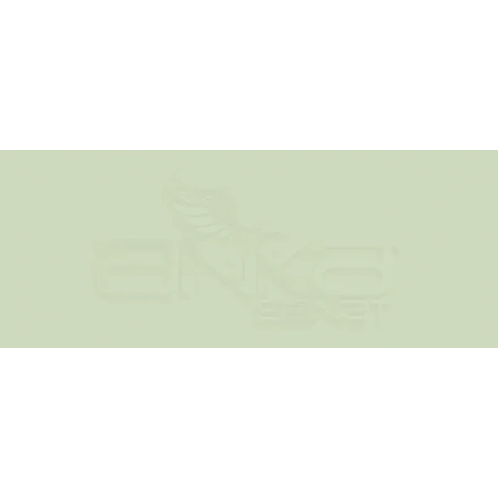 Copic Various Ink G82 Spring Dim Green