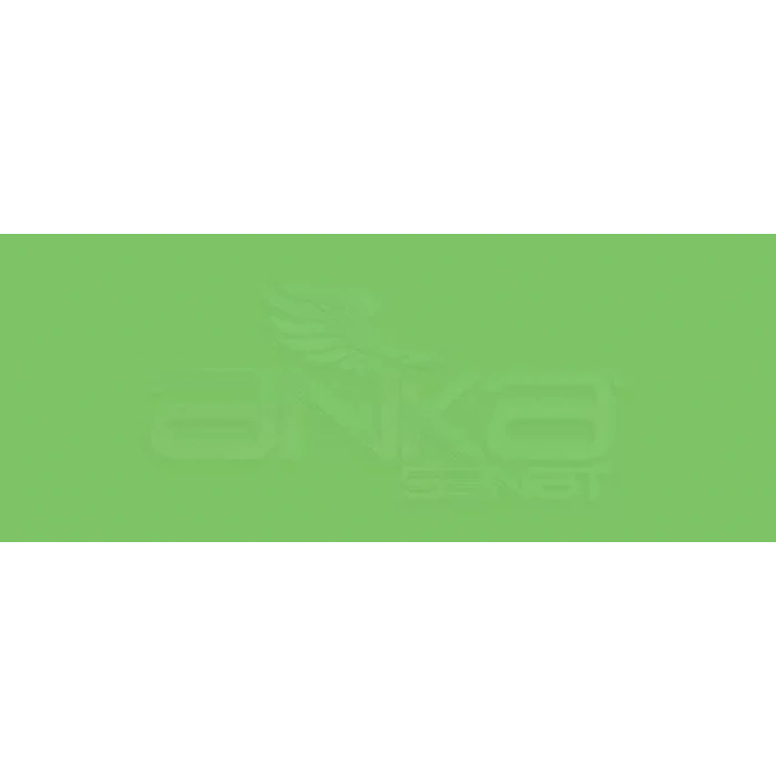 Copic Various Ink G09 Veronese Green