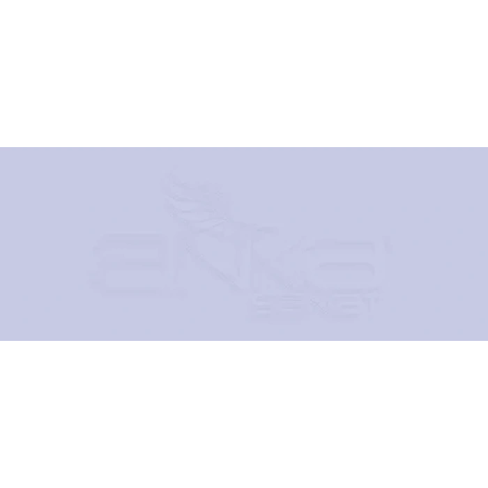 Copic Various Ink BV01 Viola