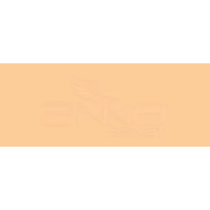 Copic Various Ink FYR1 Fluorescent Orange