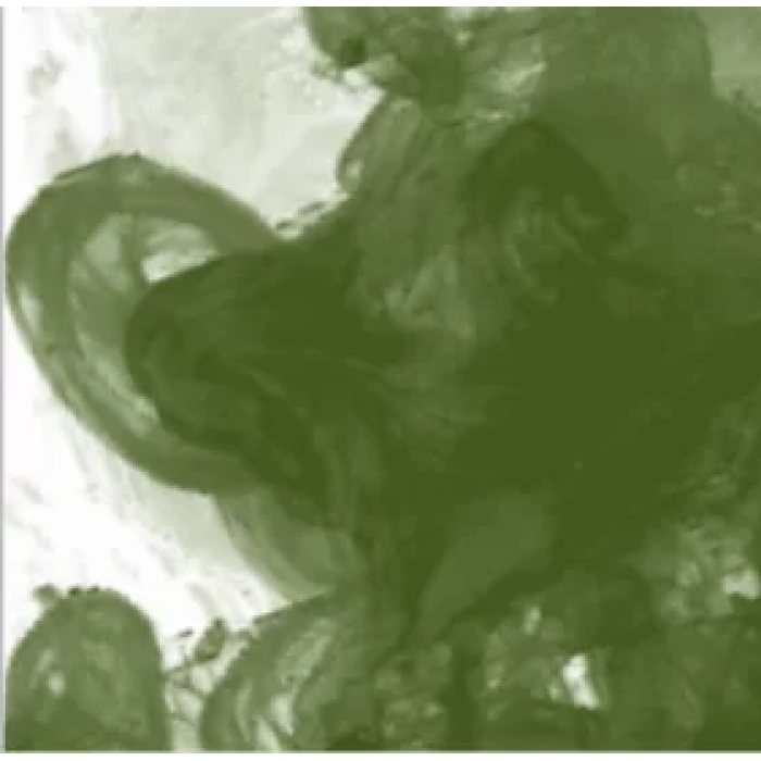 Daler Rowney FW Acrylic Artist Ink 29.5ml Cam Şişe Olive Green 363