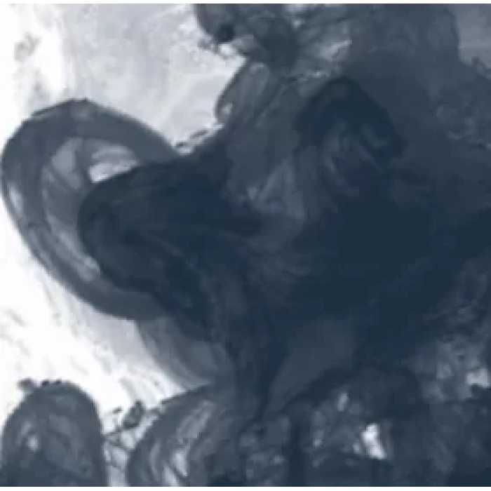 Daler Rowney FW Acrylic Artist Ink 29.5ml Cam Şişe Paynes Grey 065