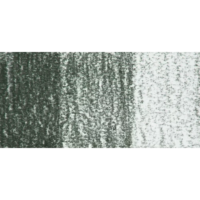 Derwent Tinted Charcoal Sulandırılabilen Renkli Füzen Kalem TC14 Forest Pine