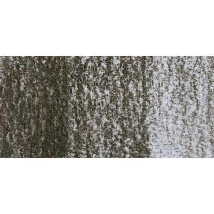 Derwent Tinted Charcoal Sulandırılabilen Renkli Füzen Kalem TC16 Dark Moss