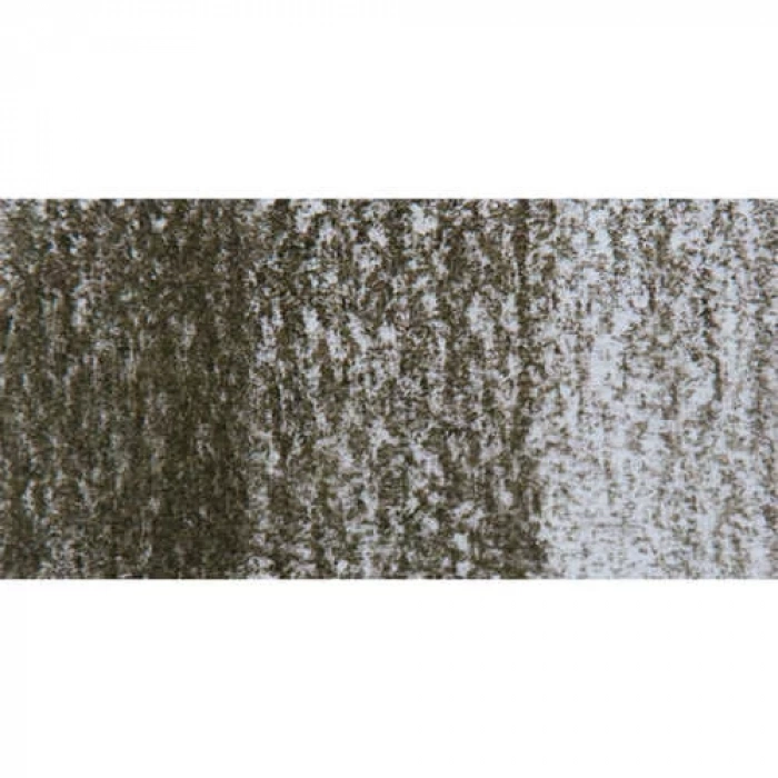 Derwent Tinted Charcoal Sulandırılabilen Renkli Füzen Kalem TC16 Dark Moss