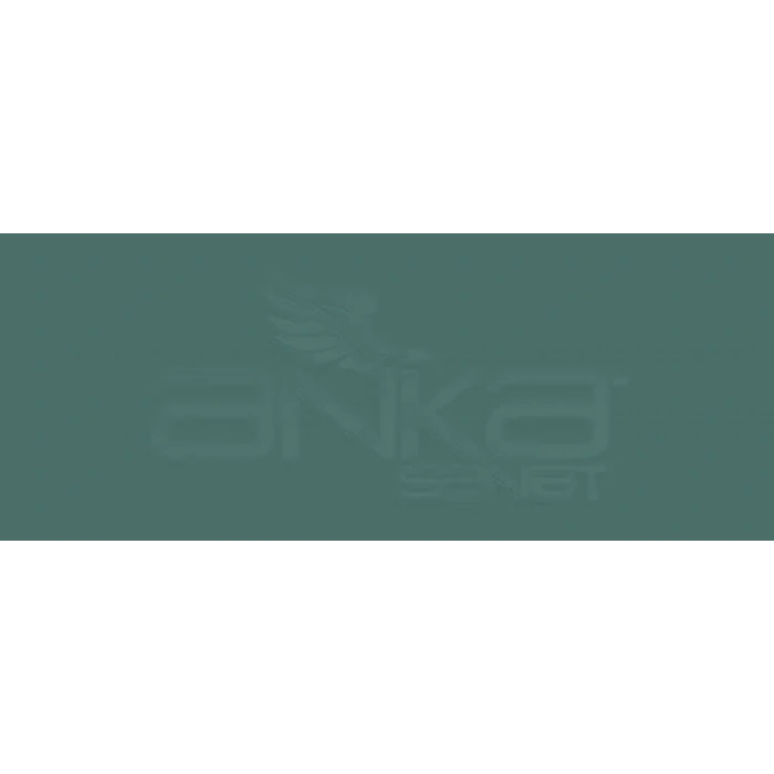 Copic Various Ink BG78 Bronze