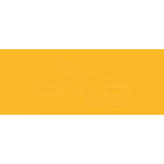 Copic Various Ink YR16 Apricot