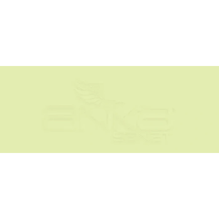 Copic Various Ink YG01 Green Bice