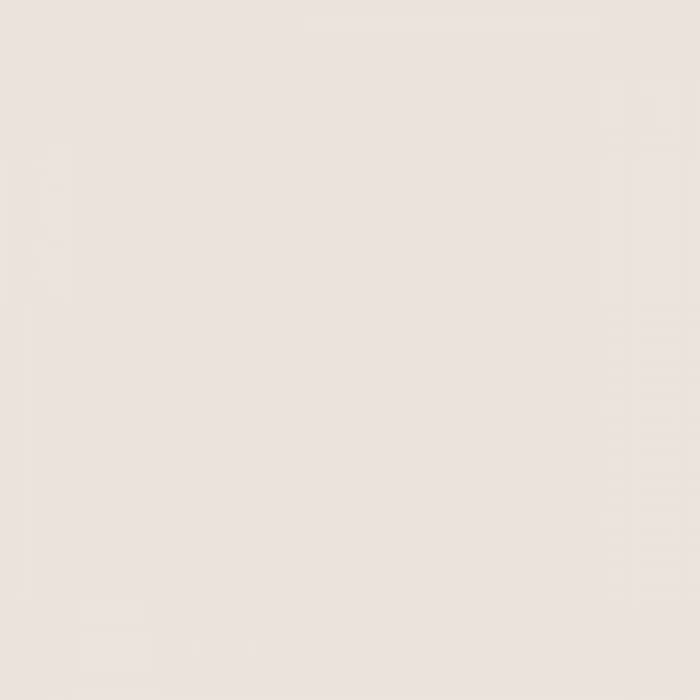 Tombow Dual Brush Pen Warm Grey 1 N89