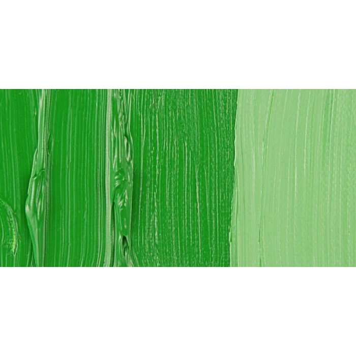 Van Gogh 40ml Yağlı Boya Seri:1 No:614 Perm Green