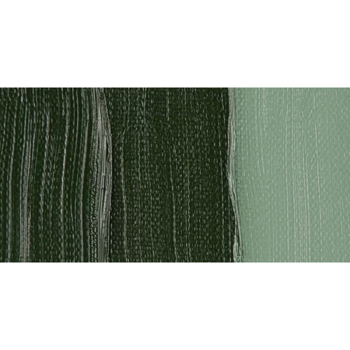 Van Gogh 40ml Yağlı Boya Seri:1 No:629 Green Earth