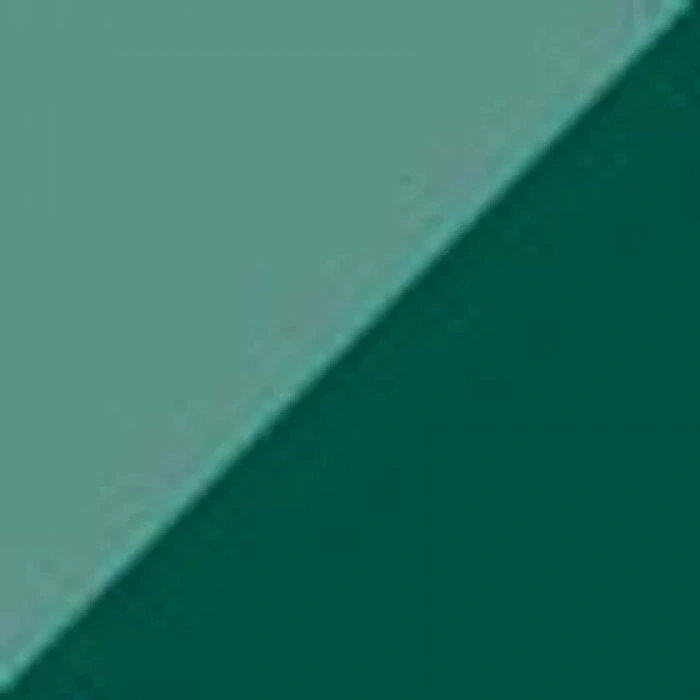 Zig Brushables 2 Renk Tonu Fırça Uçlu Marker Kalem 040 Pure Green