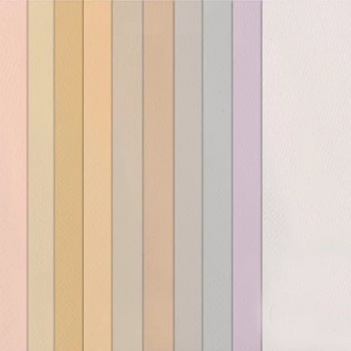 Canson 50x65 160g Fon Kartonu 10lu Pastel Tonlar