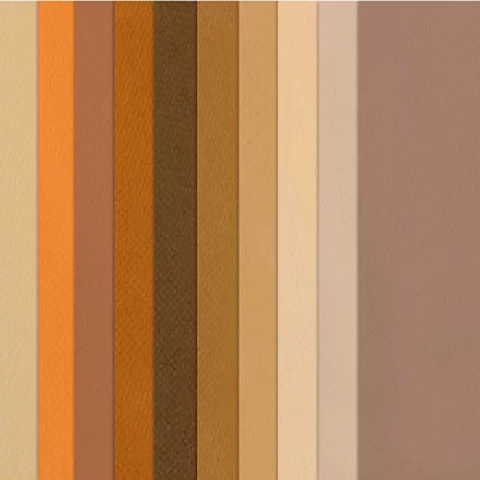 Canson 50x65 160g Fon Kartonu 10lu Kahve Tonlar