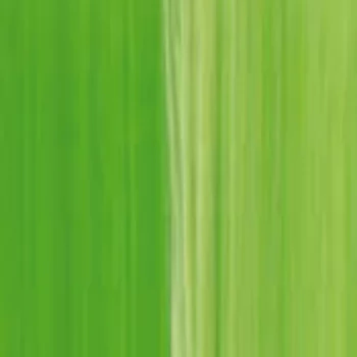 Lukas Cyrl Studio Akrilik Boya 75ml Chrom Yesil Acik