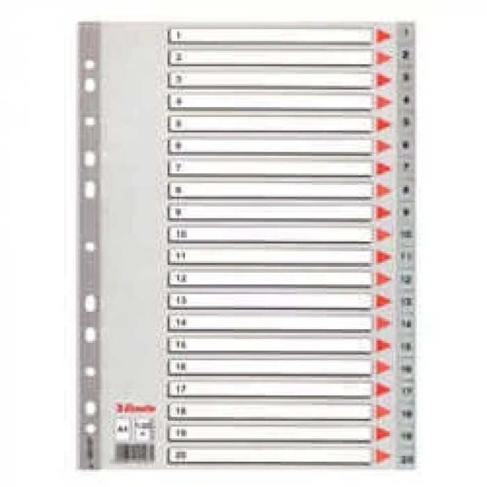 Esselte Seperatör A4 1-20 Rakam