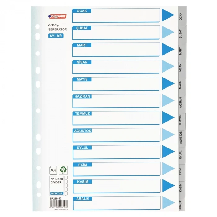 Bigpoint PP Seperatör Aylar